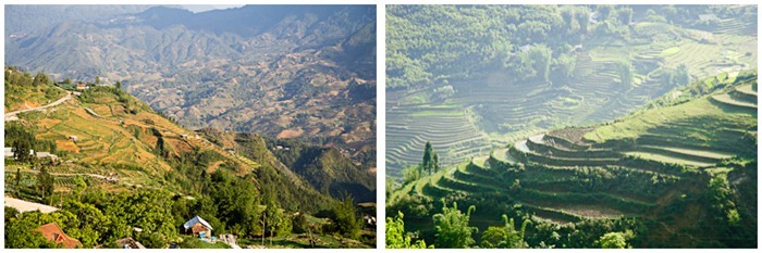 Read more about the article World Famous in Sapa