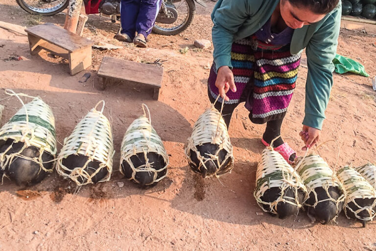 Read more about the article Trip to the field offices
