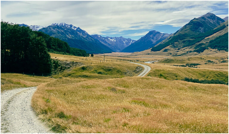 Read more about the article Biking Ahuriri Conservation Park