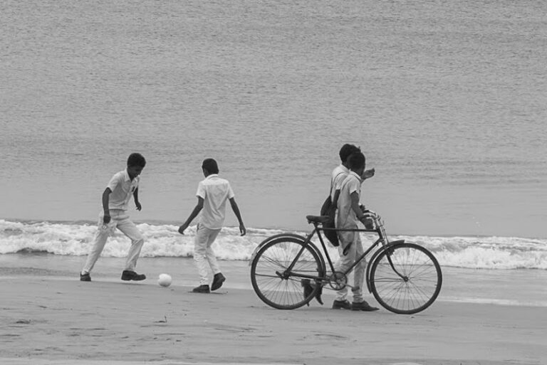 Read more about the article Trinco, a beach of fish