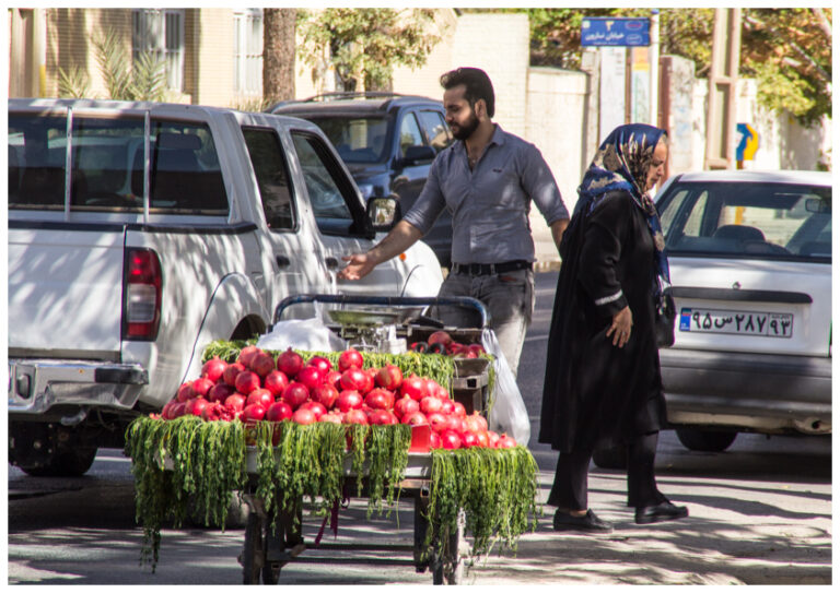 Read more about the article Shiraz: gardens and tombs