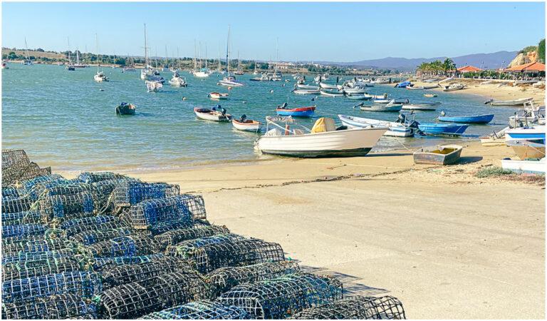 Read more about the article Algarve