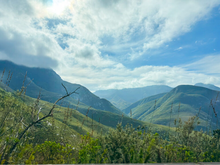 Read more about the article Garden Route